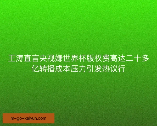 王涛直言央视嫌世界杯版权费高达二十多亿转播成本压力引发热议行
